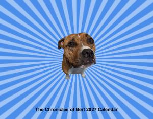 The Chronicles of Bert 2027 Wall Calendar