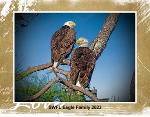 SWFL Eagles Calendar 2023