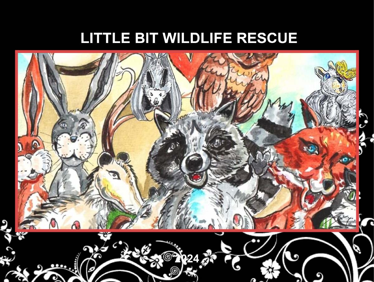 LIttle Bit Wildlife 2024