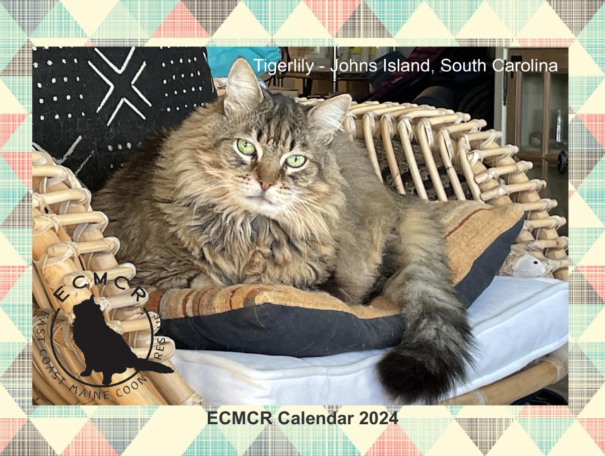 2024 ECMCR Calendar
