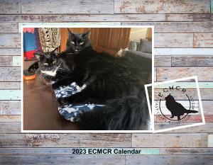 2023 ECMCR Calendar