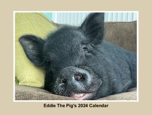Eddie The Pig 2024 Wall Calendar