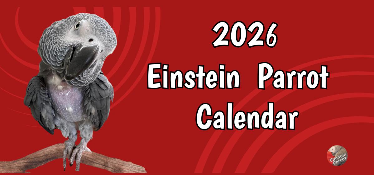 Einstein Parrot 2026 Desk Calendar