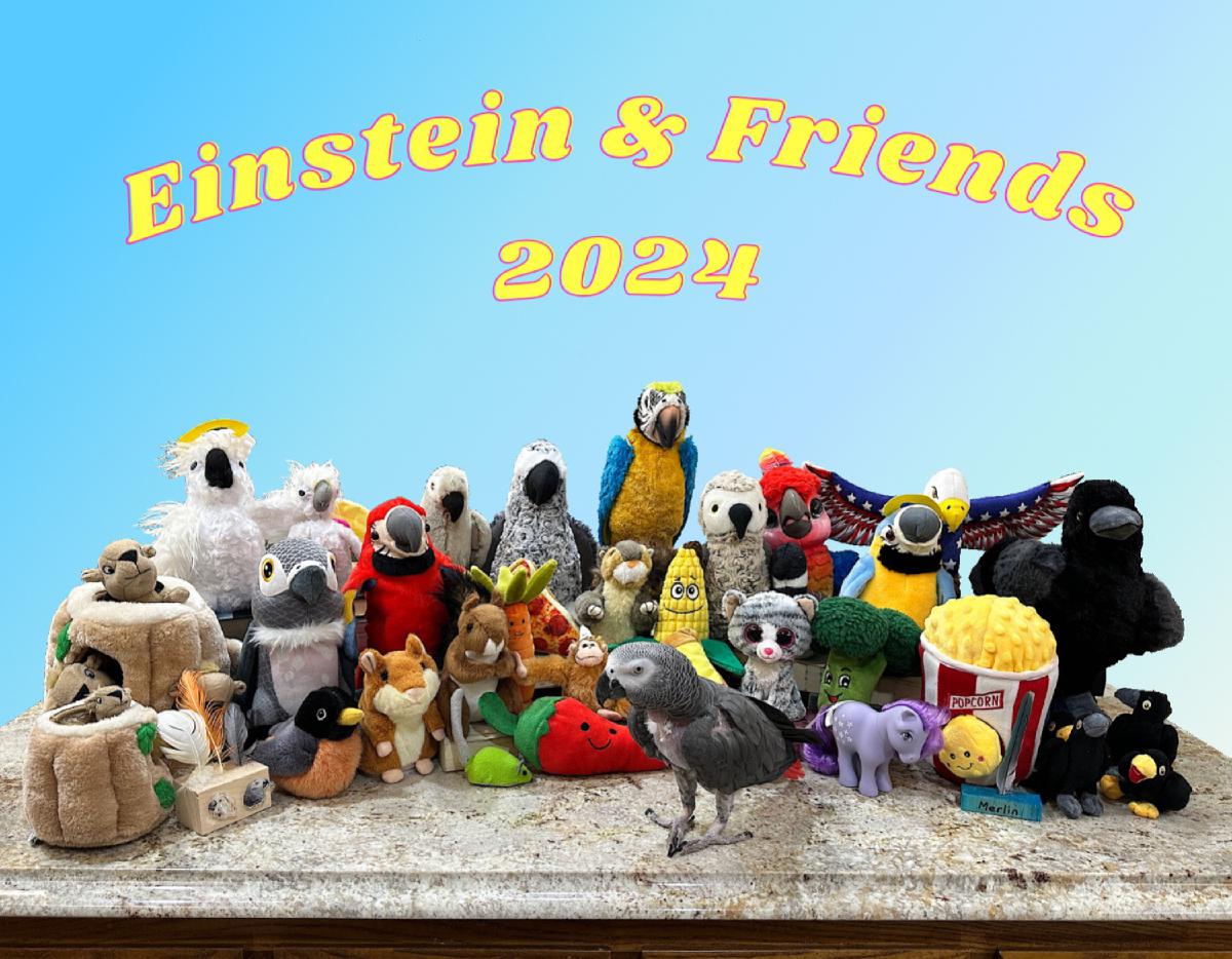 Einstein & Friends 2024