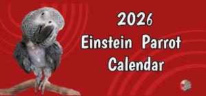Einstein Parrot 2026 Desk Calendar
