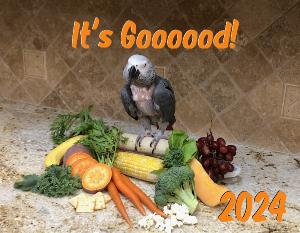 Einstein Parrot - It's Good! 2024