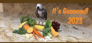 einsteinparrot