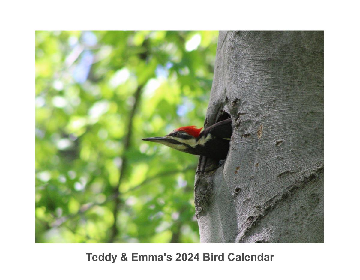 Teddy & Emma's 2024 Bird Calendar