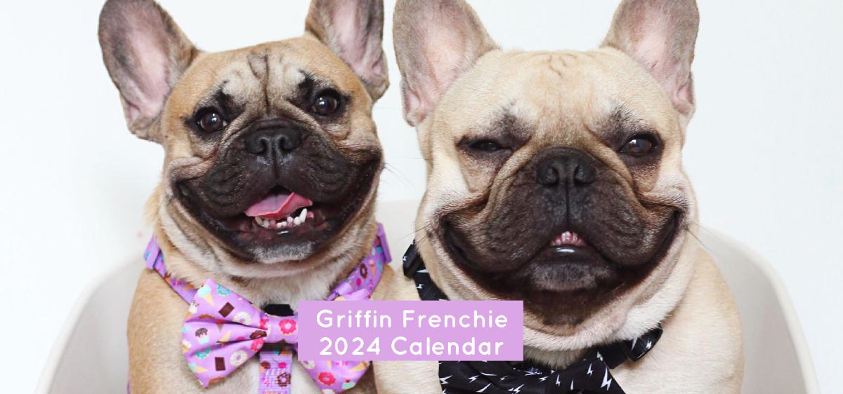 Griffin Frenchie 2024 Desk Calendar