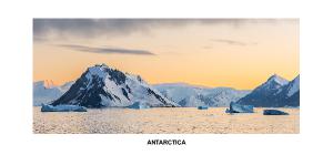 Antarctica Desk Calendar