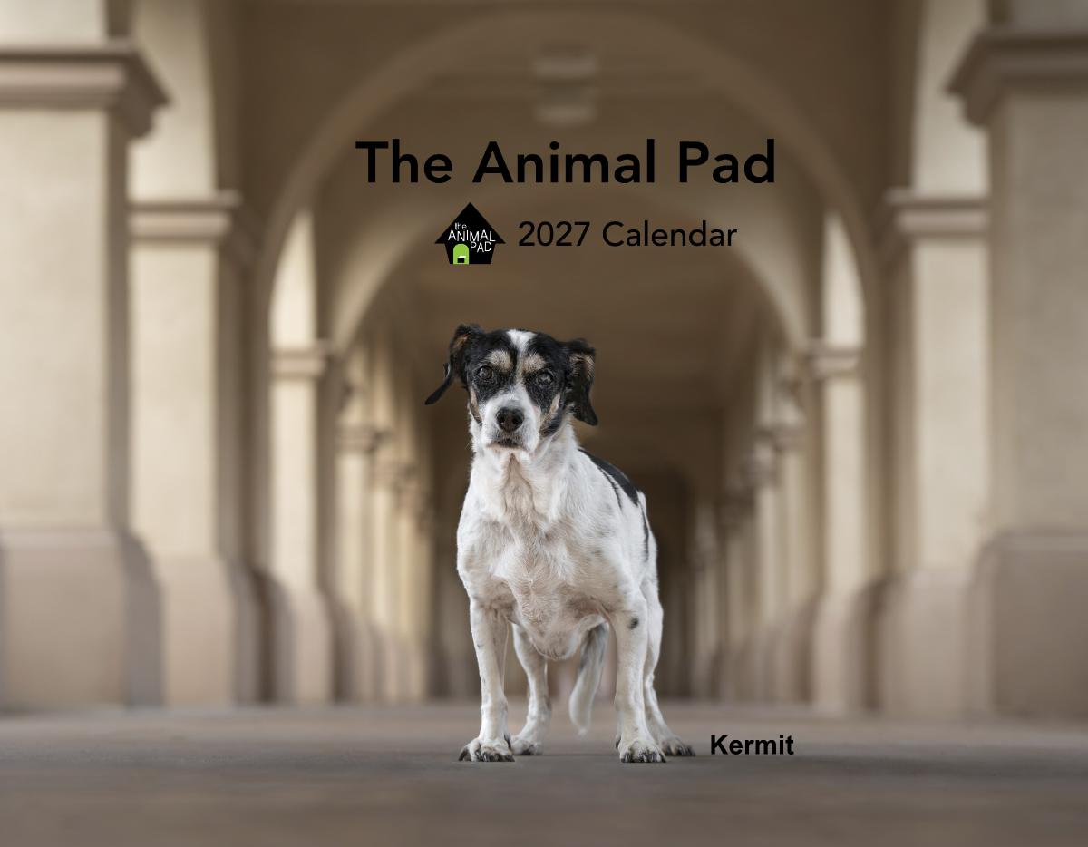 The Animal Pad 2027 Calendar