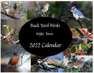 Back Yard Birds - Wylie Texas 2022