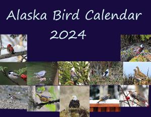 2024 Alaska Bird Calendar
