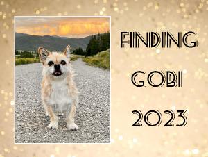 Finding Gobi 2023 Calendar