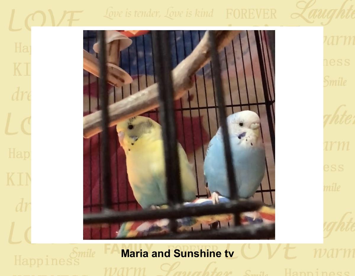 Maria and Sunshine 2024 calendar