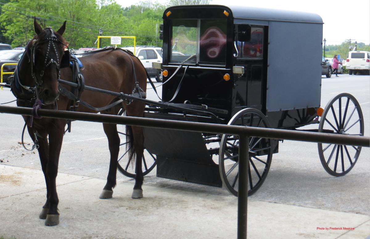 Amish Buggy Poster