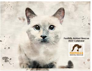 Foothills Animal Rescue 2022 Calendar