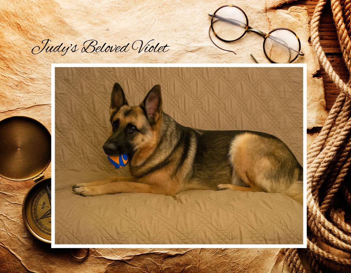 2026 Revised EPI Cal #7