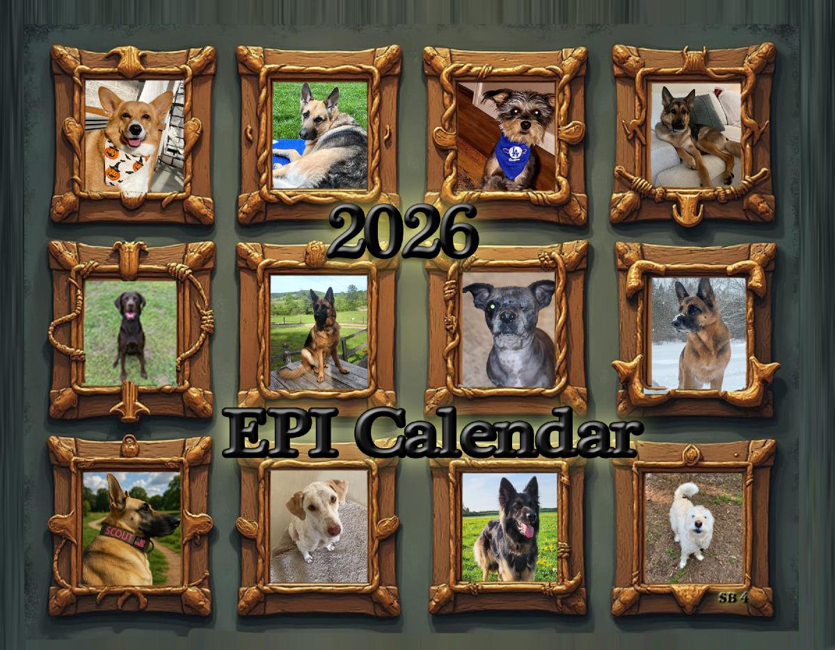 2026 Revised EPI Cal 4