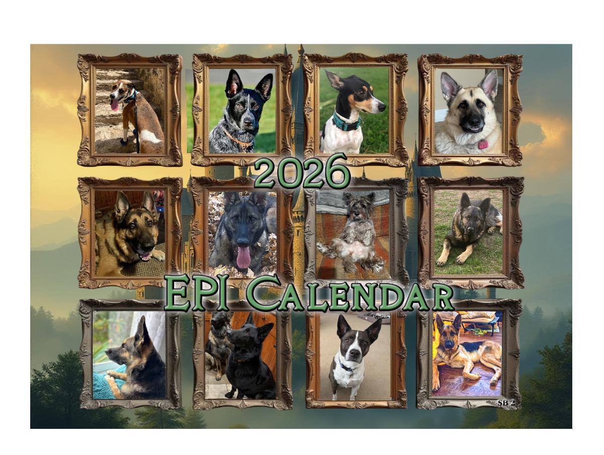 2026 Revised EPI Cal 2