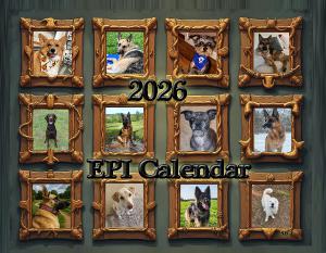 2026 Revised EPI Cal 4