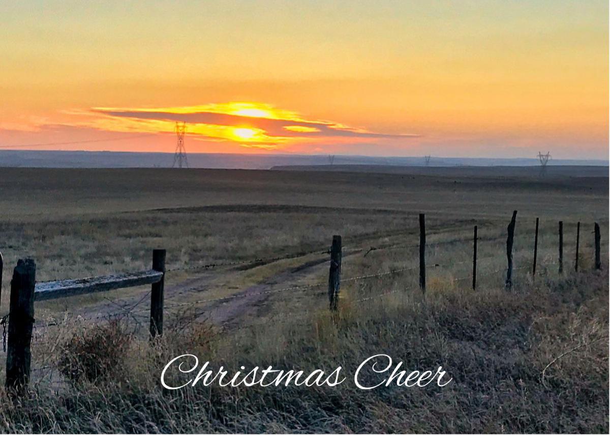 Wide Open Spaces Christmas Card
