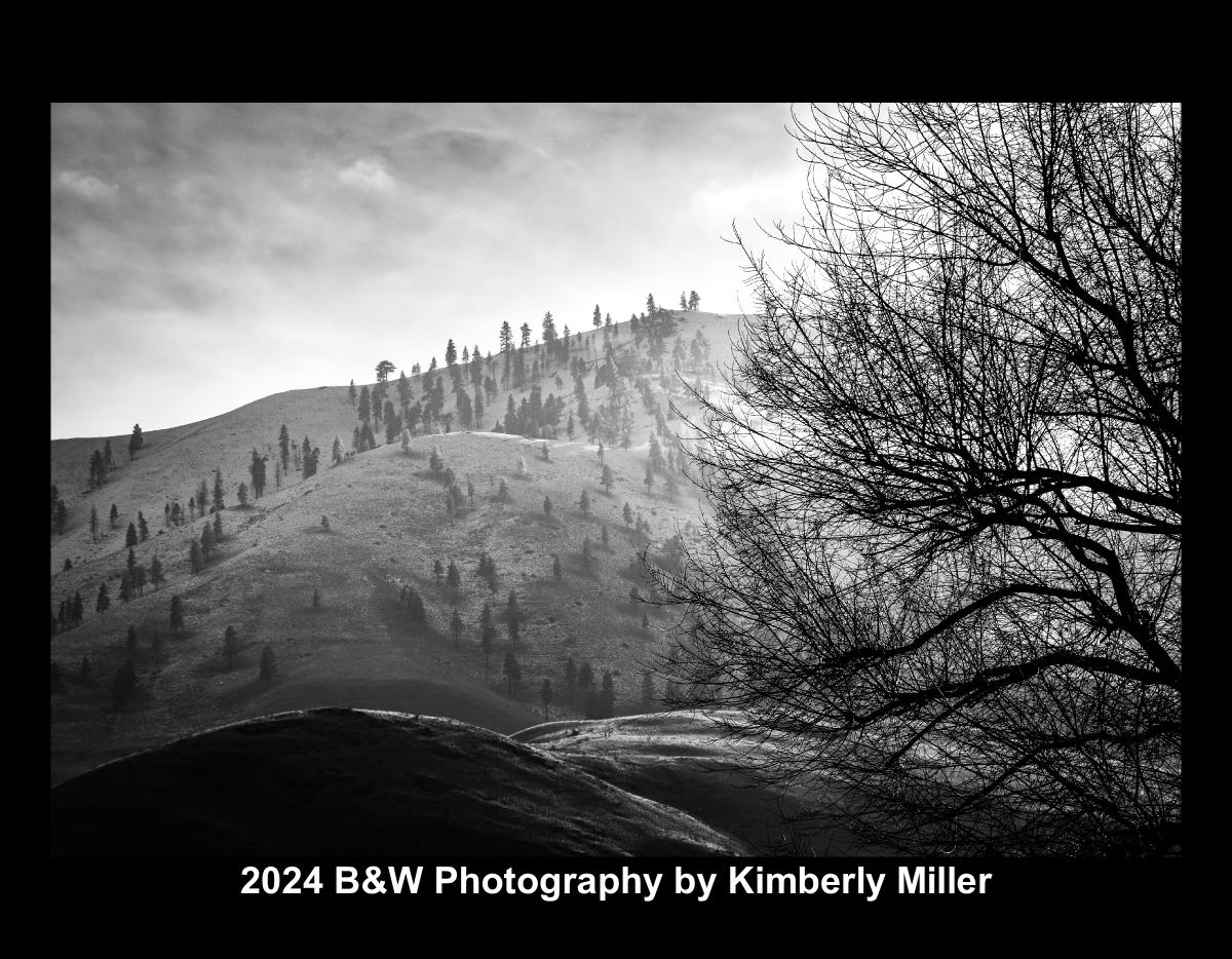 *NEW* 2024 Black and White Photography
