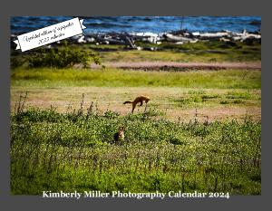 Photographer's Favorites 2023