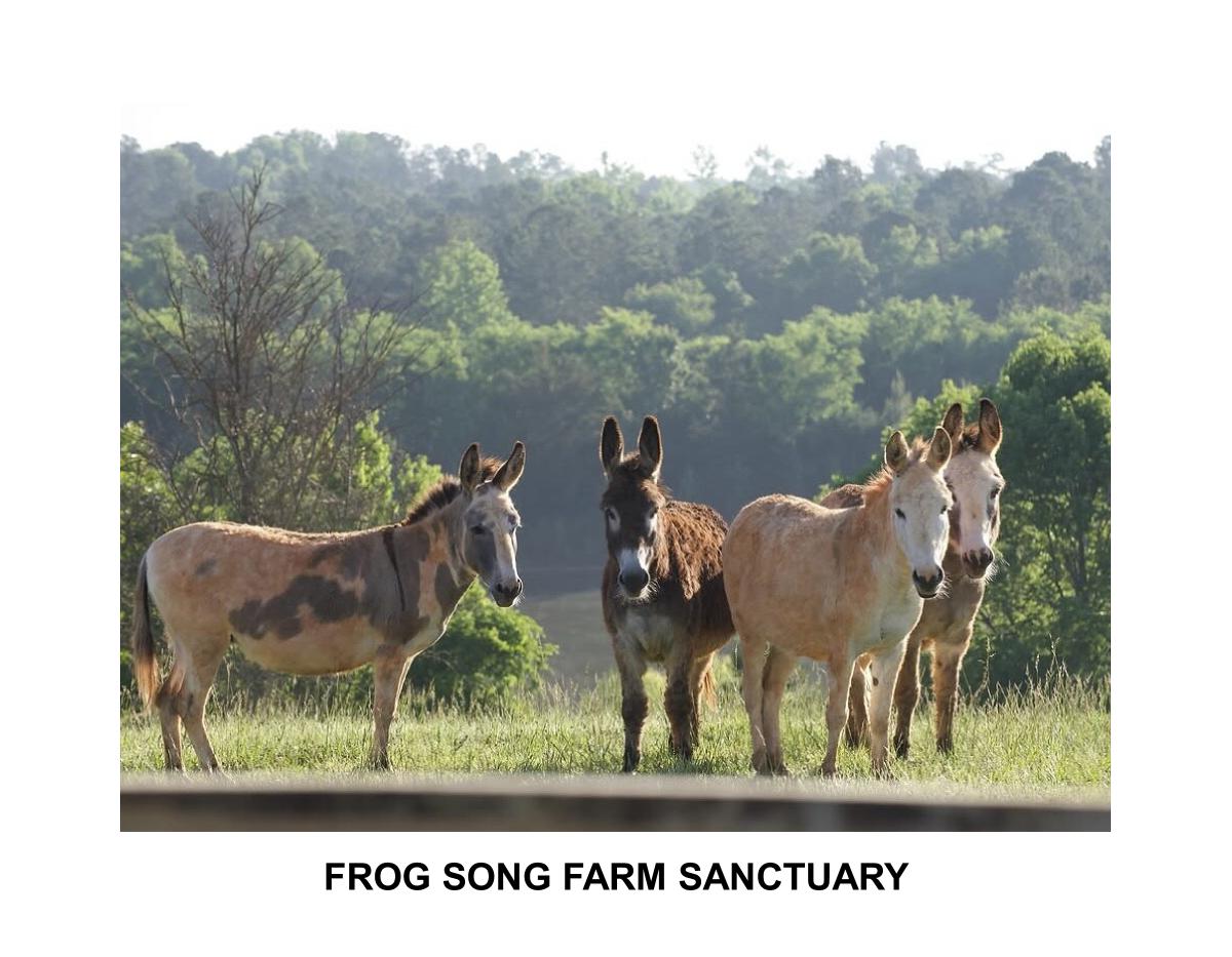 FROG SONG FARM SANCTUARY 2027