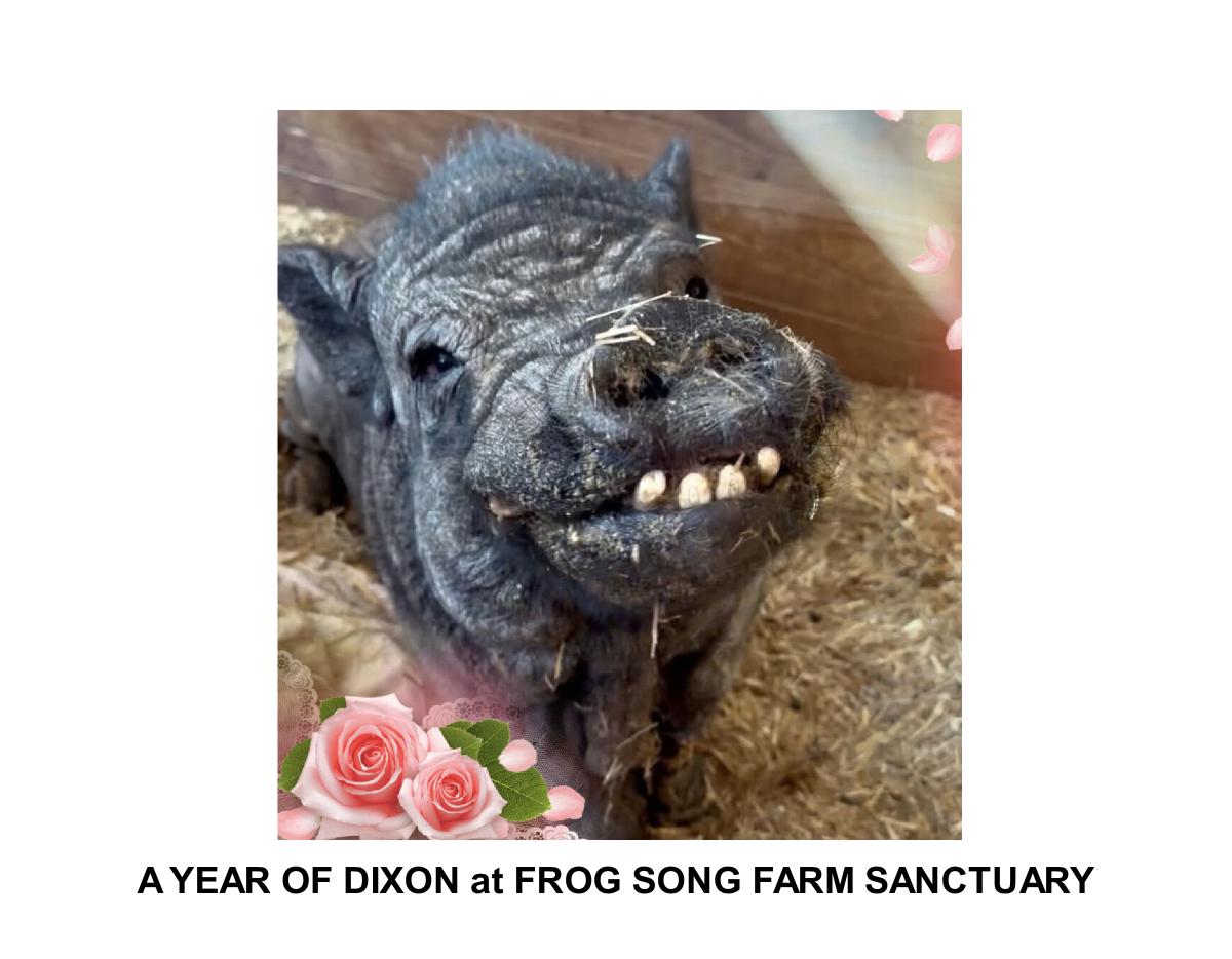 A YEAR OF DIXON 2027