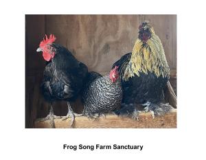 frogsongfarmsanctuary