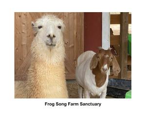 frogsongfarmsanctuary