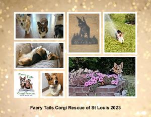 Faery Tails Corgi Rescue of St Louis 2023 Calendar