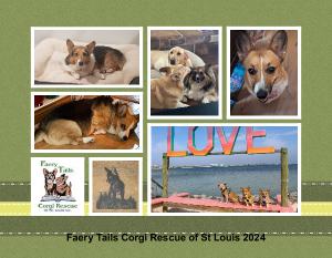 Faery Tails Corgi Rescue of St Louis 2024 Calendar
