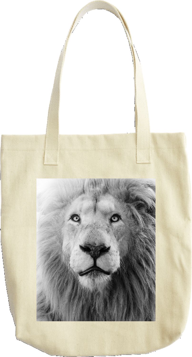 GG LION SHALOM TOTE 2026