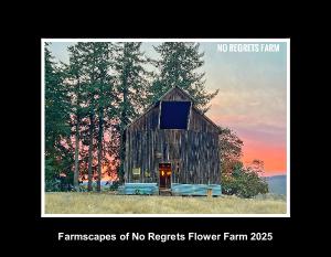 Flowers & Farmscapes at No Regrets Farm 2024