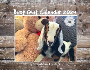 Baby Goat Calendar 2024