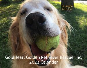 GoldHeart Golden Retriever Rescue 2023 Calendar