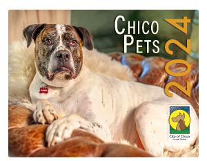 2024 Chico Pets Calendar
