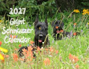 2027 Giant Schnauzer Calendar