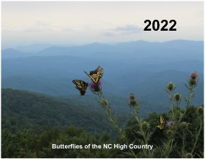Butterflies of the North Carolina High Country