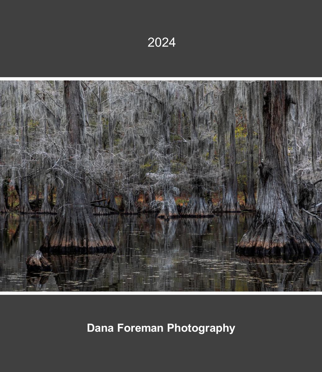 Dana Foreman Photography 2023 Desk