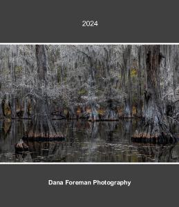 Dana Foreman Photography 2023 Desk