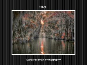 Dana Foreman Photography 2024