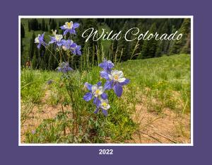 Wild Colorado