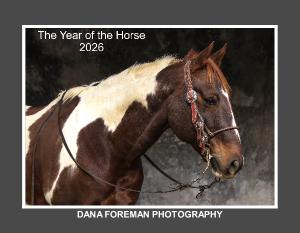 Year of the Horse