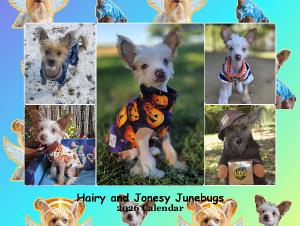 Hairy & Jonesy Junebugs 2026 Calendar