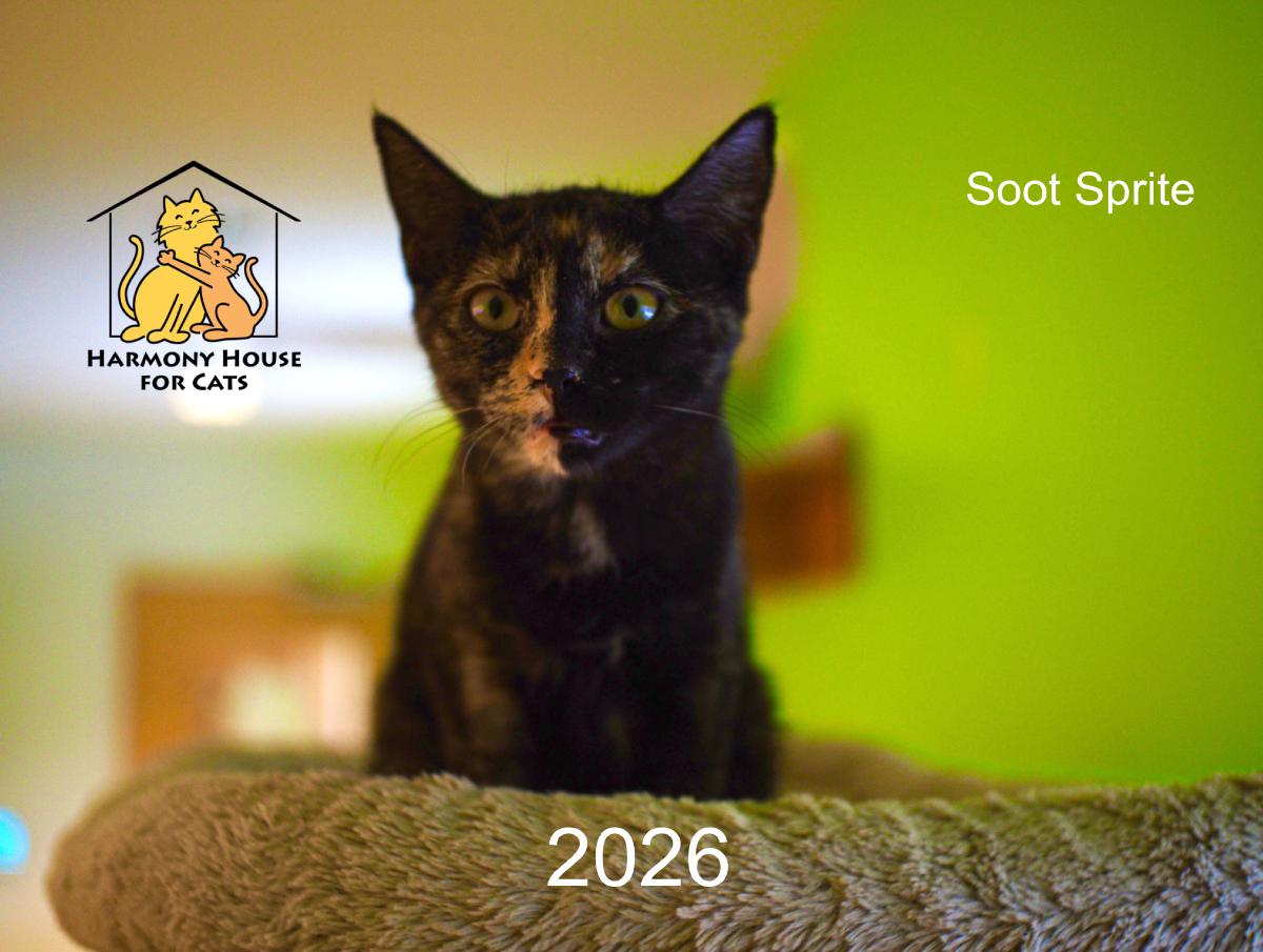 Harmony House for Cats 2026 Calendar