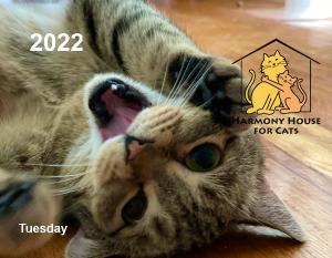 2022 Harmony House for Cats Calendar