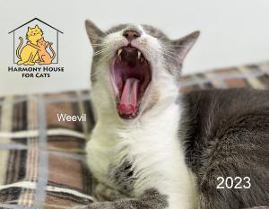 2023 Harmony House for Cats Calendar